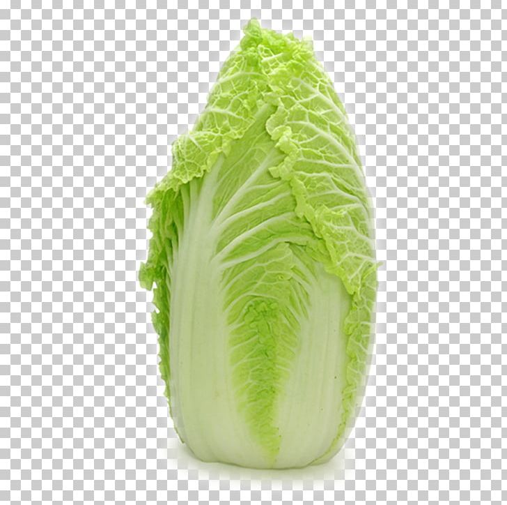 Romaine Lettuce Cabbage Caesar Salad Vegetable PNG, Clipart, Brassica Oleracea, Cabbage, Caesar Salad, Chinese, Chinese Border Free PNG Download