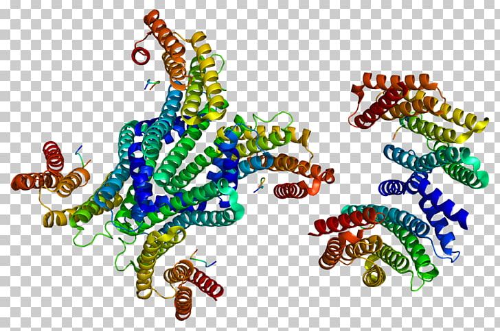 Ube3a 14 3 3 Protein Gene Cell Free Protein Synthesis Png