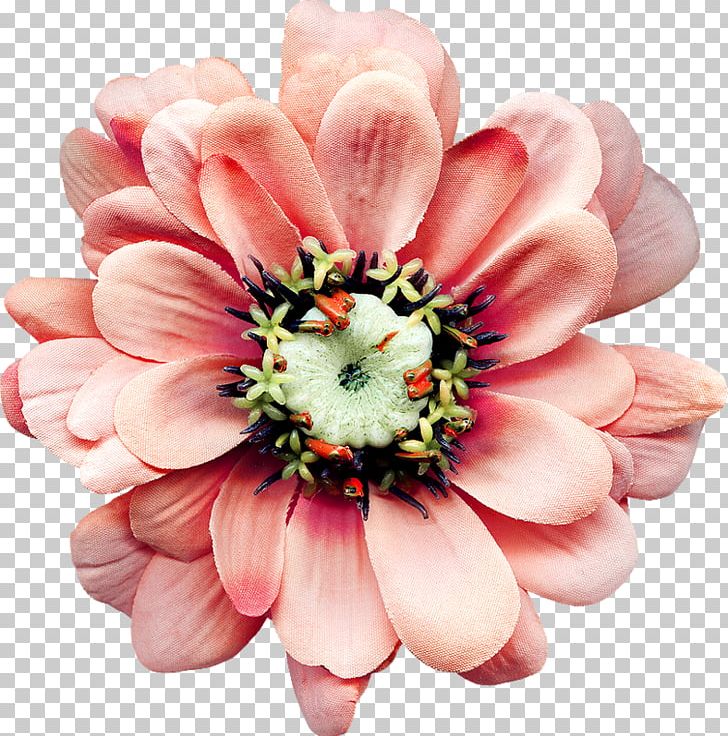 Cut Flowers Zedge Petal Advertising PNG, Clipart, Advertising, Angle, Blossom, Cut Flowers, Flower Free PNG Download
