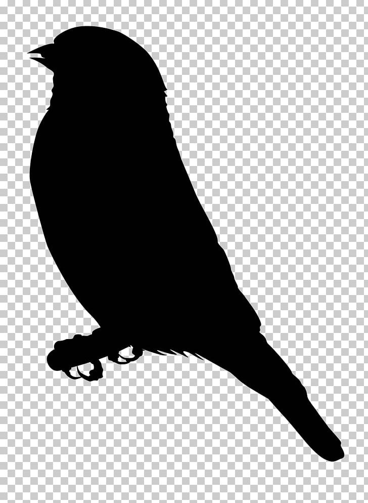 European Goldfinch PNG, Clipart, Bat, Beak, Bird, Bird Clipart, Black And White Free PNG Download