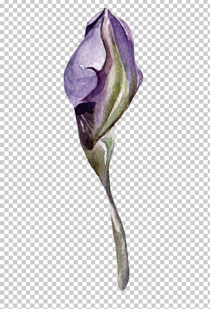 Purple Watercolor Painting Illustration PNG, Clipart, Art, Blue, Bud, Buds, Color Free PNG Download