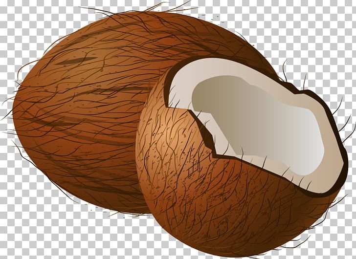 Coconut Water Coconut Milk PNG, Clipart, Balloon Cartoon, Boy Cartoon, Brown, Cartoon, Cartoon Character Free PNG Download