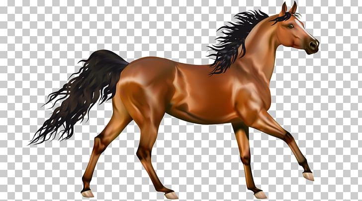American Paint Horse PNG, Clipart, American Paint Horse, Animal Figure, Black, Bridle, Colt Free PNG Download