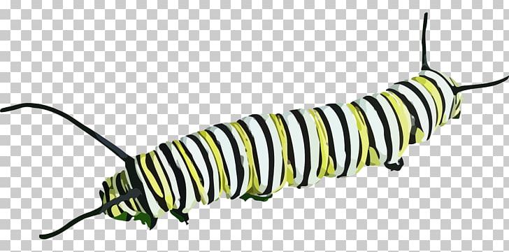 Butterfly Caterpillar Insect PNG, Clipart, Butterfly, Caterpillar, Clip Art, Computer Icons, Download Free PNG Download