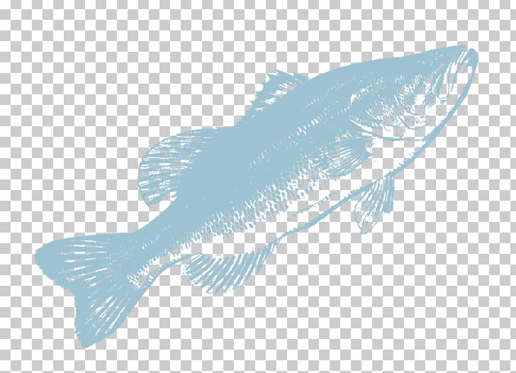 Fauna Marine Mammal Marine Biology Fish Barramundi PNG, Clipart, Barramundi, Bass, Biology, Call Of Duty, Call Of Duty Black Ops Free PNG Download