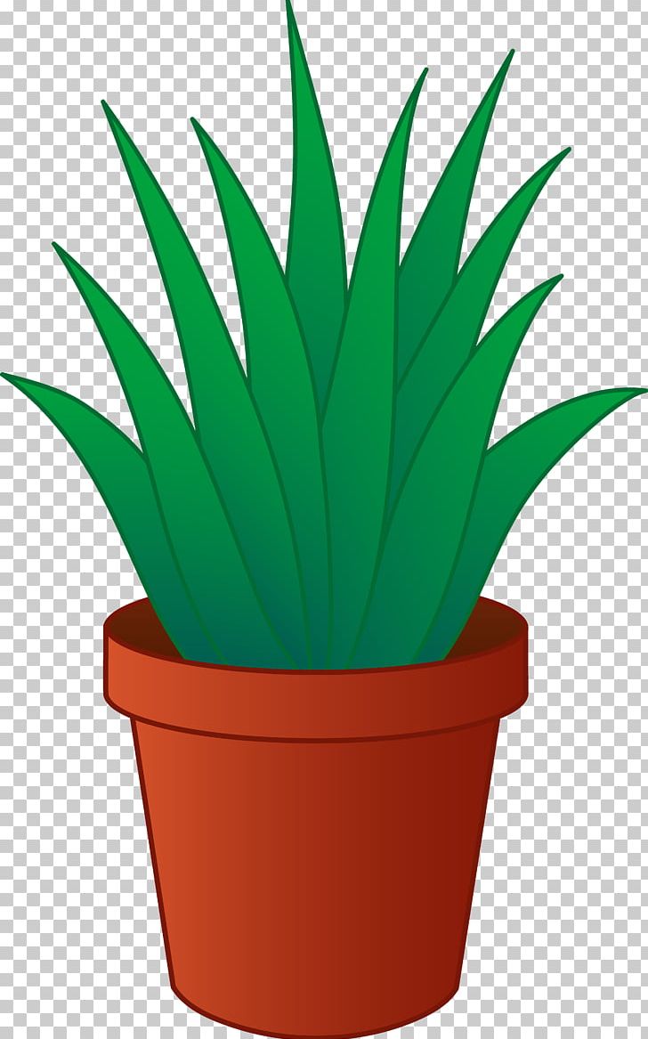 Houseplant Flowerpot PNG, Clipart, Aloe, Download, Fern, Flower Box, Flowering Plant Free PNG Download