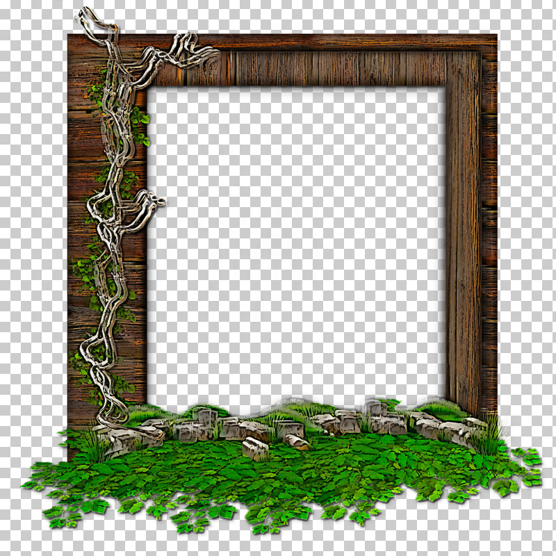 Picture Frame PNG, Clipart, Ivy, Picture Frame, Plant, Rectangle, Twig Free PNG Download