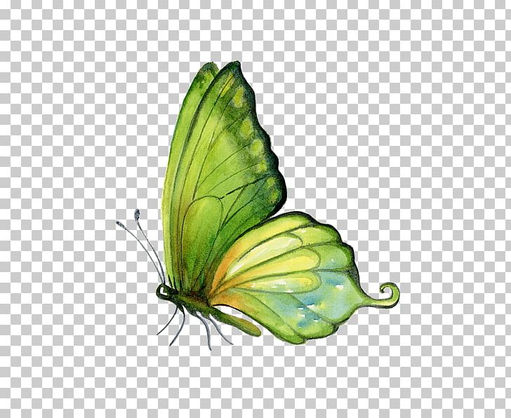Monarch Butterfly Watercolor Painting Art PNG, Clipart, Art, Arthropod, Brush Footed Butterfly, Butterfly, Canvas Free PNG Download