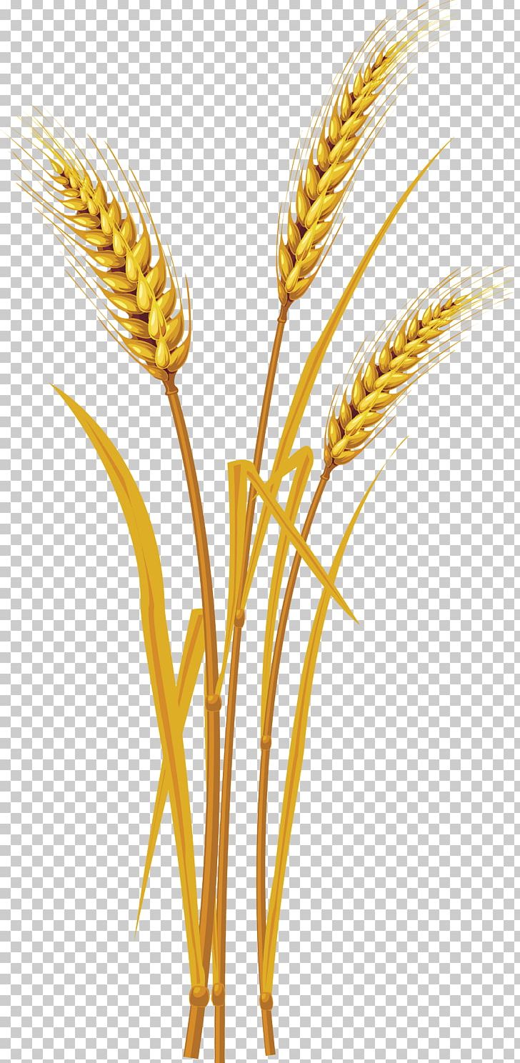 Oregon Wheat Commission Icon Computer File PNG, Clipart, Cereal, Cereal Germ, Comm, Commodity, Computer Icons Free PNG Download