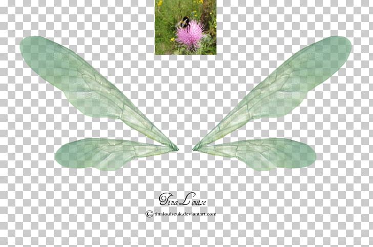 Tinker Bell PNG, Clipart, Butterflix, Butterfly, Desktop Wallpaper, Deviantart, Editing Free PNG Download