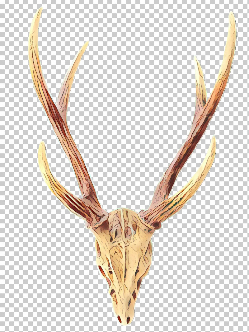 Horn Antler Head Deer Elk PNG, Clipart, Antler, Bone, Deer, Elk, Head Free PNG Download