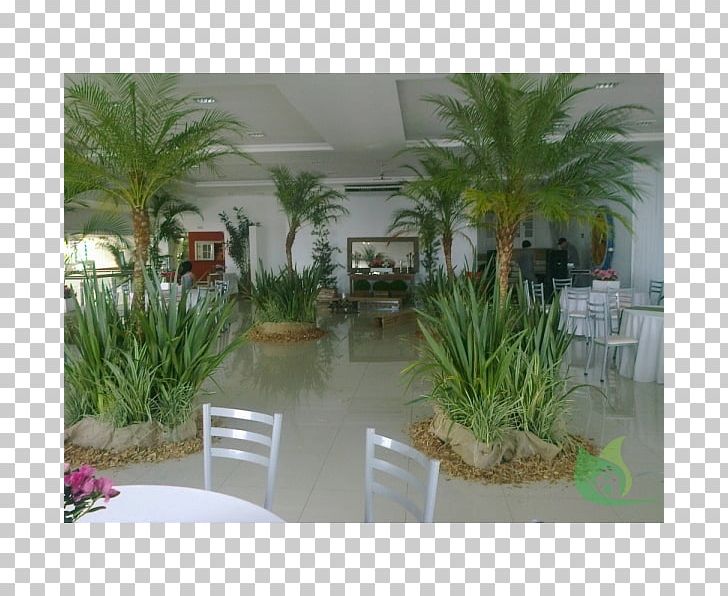 Arecaceae Canoas Garden Center Flowerpot Houseplant PNG, Clipart, Arecaceae, Arecales, Canoas, Canoas Garden Center, Coconut Free PNG Download