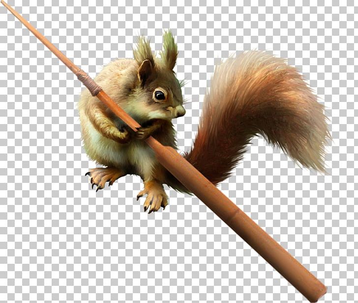 Chipmunk Tree Squirrel Eastern Gray Squirrel PNG, Clipart, Animal, Chipmunk, Eastern Gray Squirrel, Encapsulated Postscript, Fauna Free PNG Download