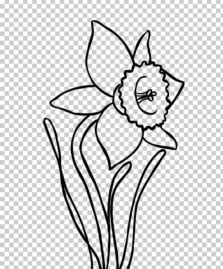 Coloring Book Drawing Narcissus Papyraceus PNG, Clipart, Black, Camomile, Carnivoran, Cat Like Mammal, Child Free PNG Download