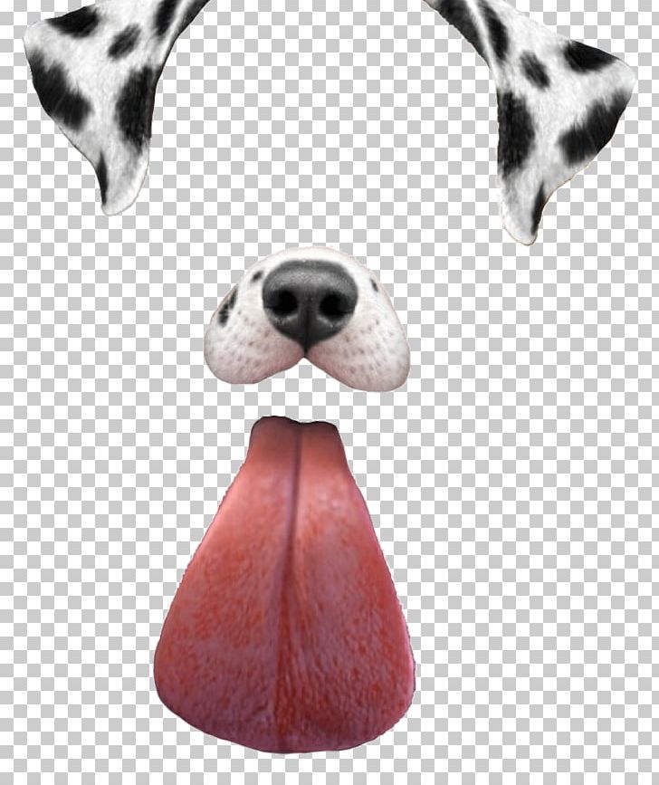 Dalmatian Dog Dachshund Puppy Snapchat PNG, Clipart, Carnivoran, Dachshund, Dalmatian, Dalmatian Dog, Dog Free PNG Download