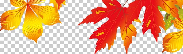 Maple Leaf Autumn PNG, Clipart, Autumn, Autumn Leaves, Beautiful, Beautiful Maple Leaves Falling, Beauty Free PNG Download