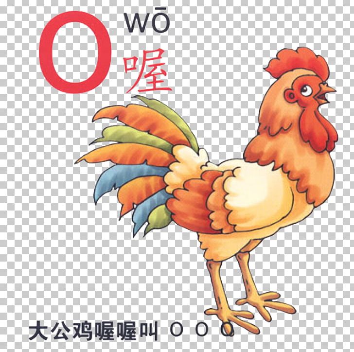 Rooster Pinyin Cartoon Illustration PNG, Clipart, Alphabet Letters, Bird, Cartoon, Chicken, Child Free PNG Download