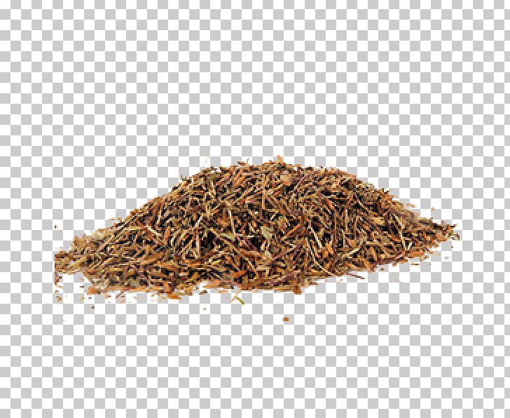 Spice Euphrasia Rostkoviana Herbaceous Plant Medicinal Plants PNG, Clipart, Assam Tea, Bancha, Beet Root, Ceylon Tea, Conjunctivitis Free PNG Download