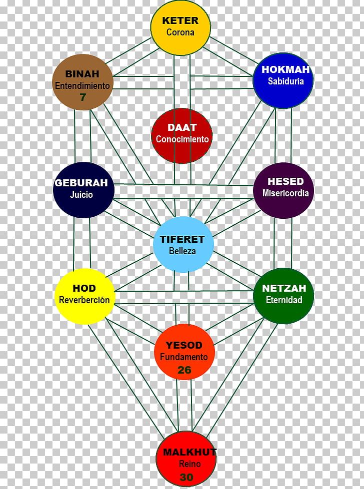 Diagram Tree Of Life Human Behavior Technology Point PNG, Clipart, Angle, Area, Behavior, Diagram, Electronics Free PNG Download