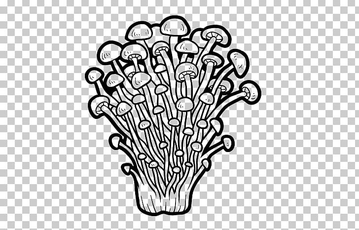 Enokitake Edible Mushroom Fungus PNG, Clipart, Black, Black And White, Coloring Book, Drawing, Edible Mushroom Free PNG Download