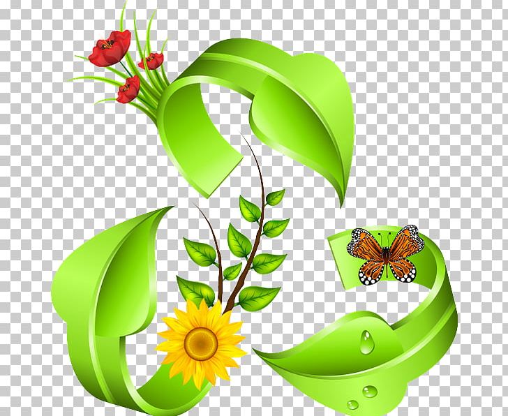 Environmental Protection Floral Design Environmental Movement Natural Environment Environmentally Friendly PNG, Clipart, Artwork, Cut Flowers, Environment, Environmentally Friendly, Environmental Protection Free PNG Download