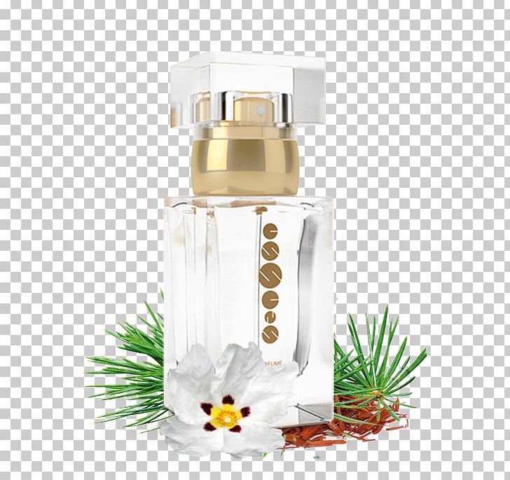 Perfume Note Aroma Christian Dior SE Cosmetics PNG, Clipart,  Free PNG Download