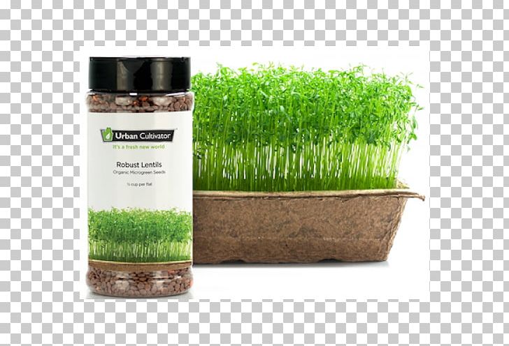 Urban Cultivator Seed Gardening PNG, Clipart, Butcher Block, Commodity, Cultivator, Gardening, Grass Free PNG Download