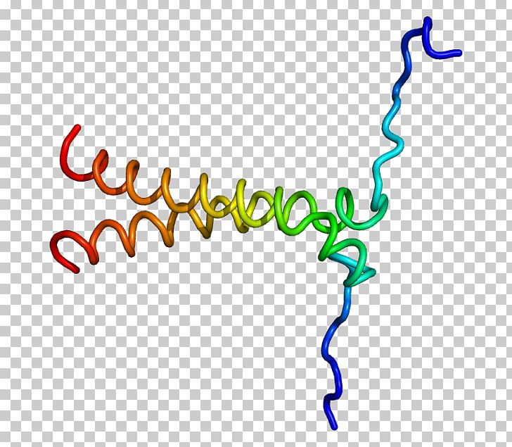 BNIP3 Bcl-2 Protein Gene BCL2-like 1 PNG, Clipart, 5 D, Adenoviridae, Apoptosis, Area, Bcl2 Free PNG Download