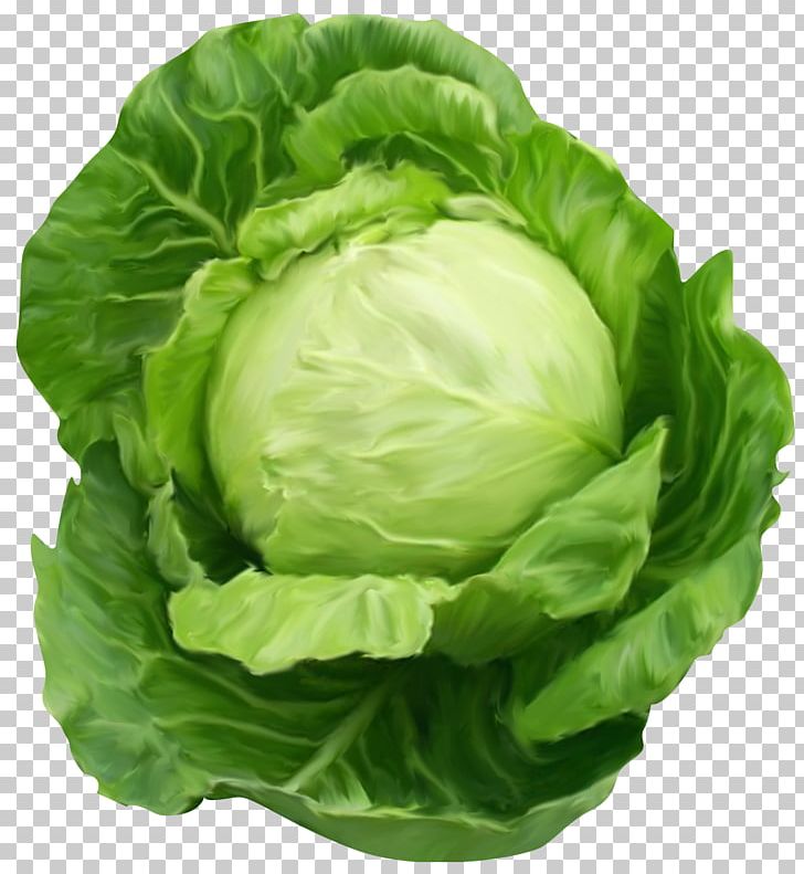 Cabbage Stew Red Cabbage Food PNG, Clipart, Bell Pepper, Brassica Oleracea, Broccoli, Cabbage, Cauliflower Free PNG Download