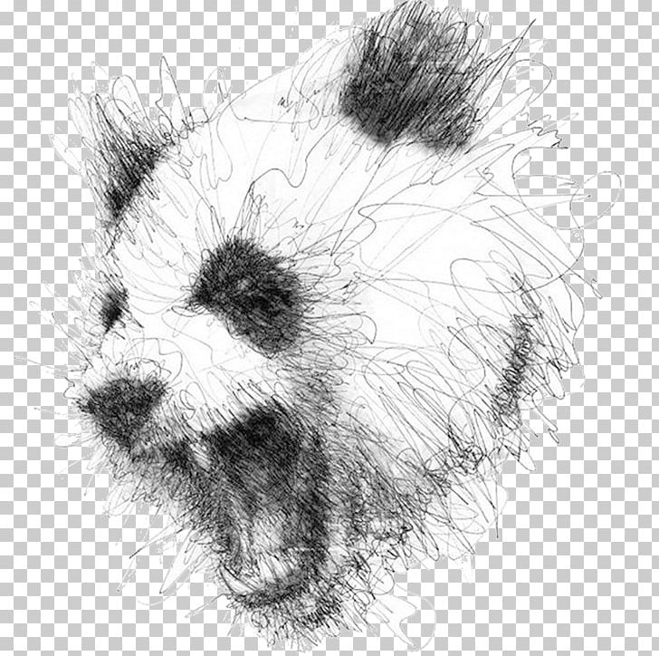 Drawing Artist Illustrator PNG, Clipart, Arts, Artwork, Beaver, Black And White, Carnivoran Free PNG Download