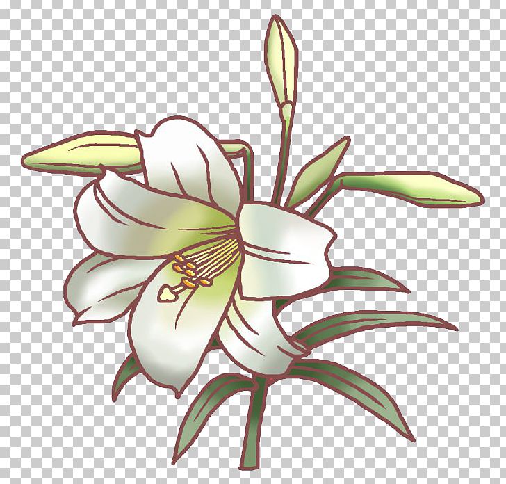 Easter Lily Tiger Lily Flower Lilium Speciosum Illustration PNG, Clipart, Amaryllis Family, Art, Black And White, Cartoon, Color Free PNG Download