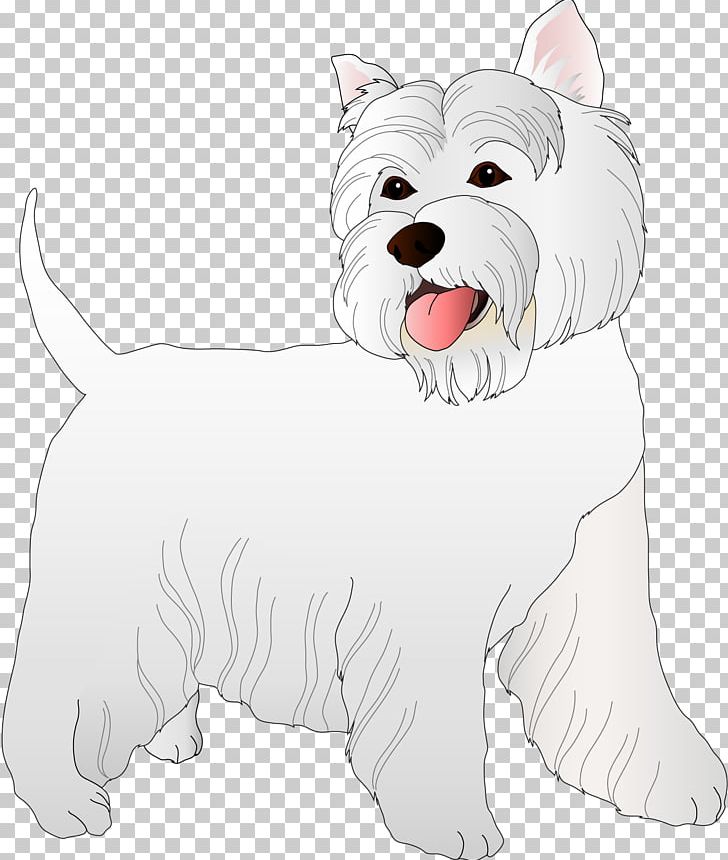 West Highland White Terrier Companion Dog Cairn Terrier Rat Terrier Puppy PNG, Clipart, Animals, Carnivoran, Companion Dog, Dog Breed, Dog Breed Group Free PNG Download