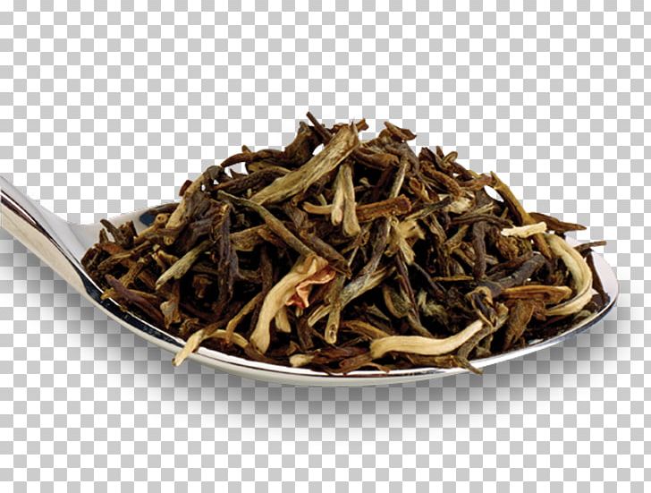 White Tea Baihao Yinzhen Keemun Nilgiri Tea Earl Grey Tea PNG, Clipart, Assam Tea, Baihao Yinzhen, Bai Mudan, Bancha, Biluochun Free PNG Download