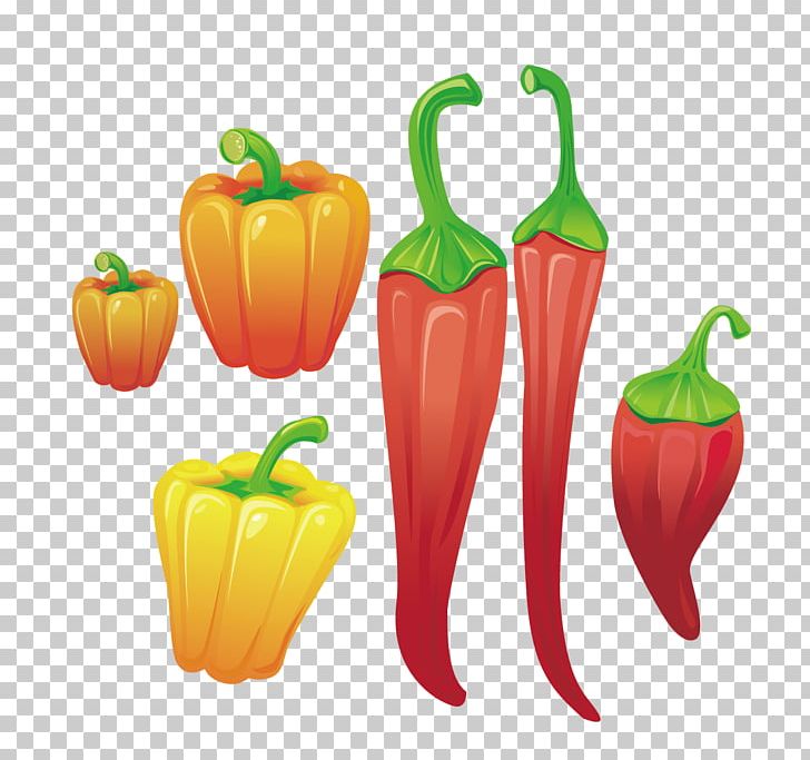 Chili Pepper Bell Pepper Cayenne Pepper Fruit PNG, Clipart, Bell, Bell Pepper, Cayenne Pepper, Chili Pepper, Food Free PNG Download