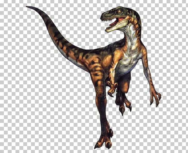 Velociraptor Tyrannosaurus Deinonychus Sinosauropteryx Dinosaur PNG, Clipart, Avialae, Crisis, Deinonychus, Dino, Dino Crisis Free PNG Download