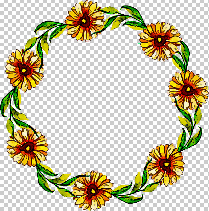 Floral Design PNG, Clipart, Biology, Cut Flowers, Floral Design, Flower, Petal Free PNG Download