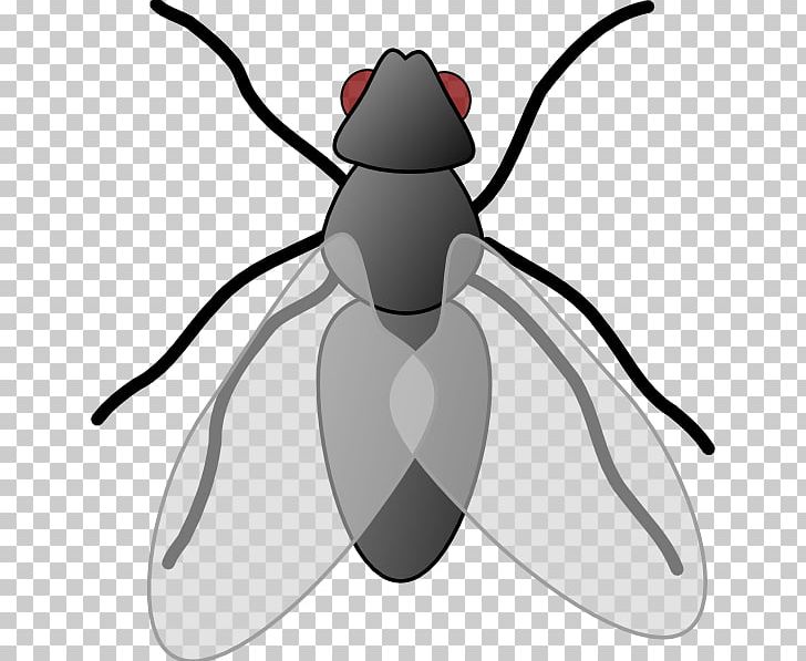 Insect Fly Free Content PNG, Clipart, Arthropod, Black And White, Cartoon, Fictional Character, Fly Free PNG Download