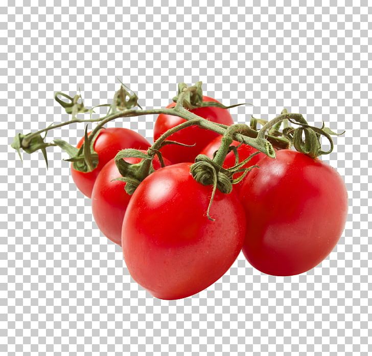 Photography Tomato PNG, Clipart, Bush Tomato, Cherry, Cooking, Diet Food, Food Free PNG Download
