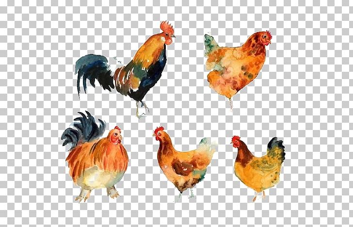 Rooster Chicken Meat Beak Animal PNG, Clipart, Animal, Animals, Beak, Bird, Chicken Free PNG Download