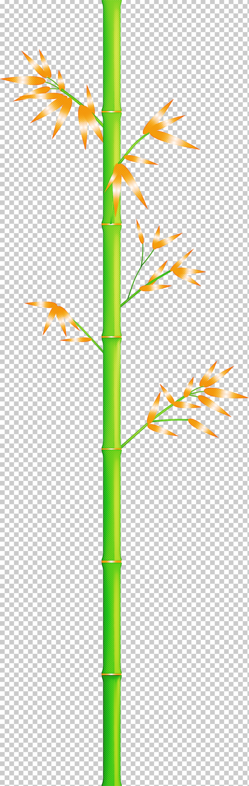 Bamboo Leaf PNG, Clipart, Bamboo, Branch, Elymus Repens, Flower, Grass Free PNG Download