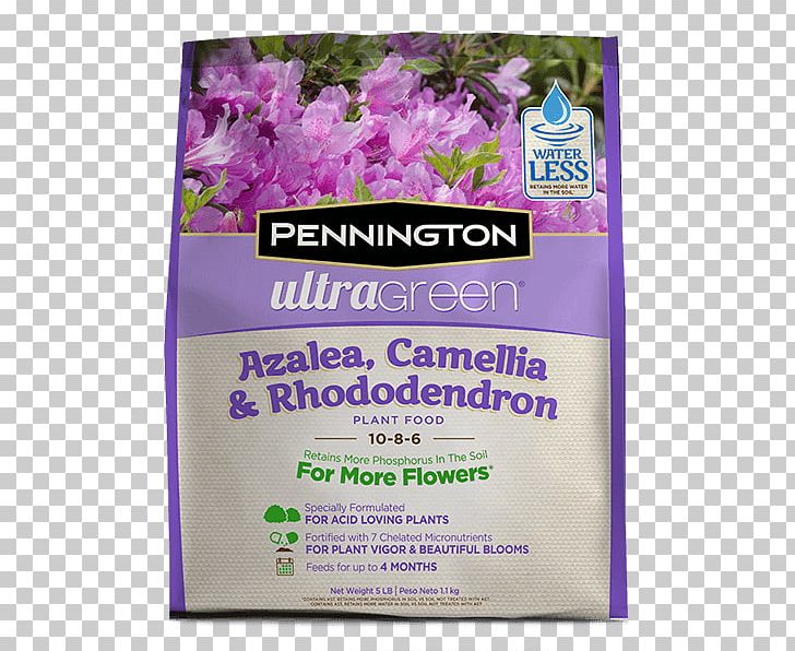 Lawn Weed Control Rhododendron Azalea Garden PNG, Clipart, Azalea, Camellia, Fertilisers, Flower, Garden Free PNG Download