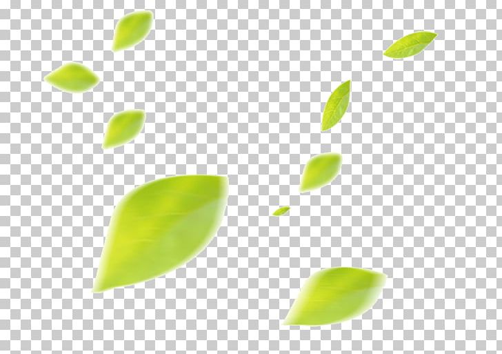 Leaf PNG, Clipart, Adobe Illustrator, Angle, Autumn Leaf, Decoration, Download Free PNG Download