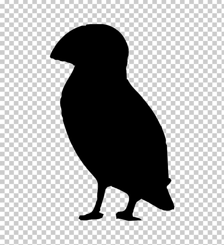 Silhouette PNG, Clipart, Animals, Animal Silhouettes, Art, Atlantic Puffin, Beak Free PNG Download