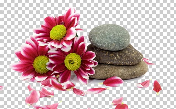 Stone Massage Spa PNG, Clipart, Body, Care, Ecological, Flower, Flowers Free PNG Download