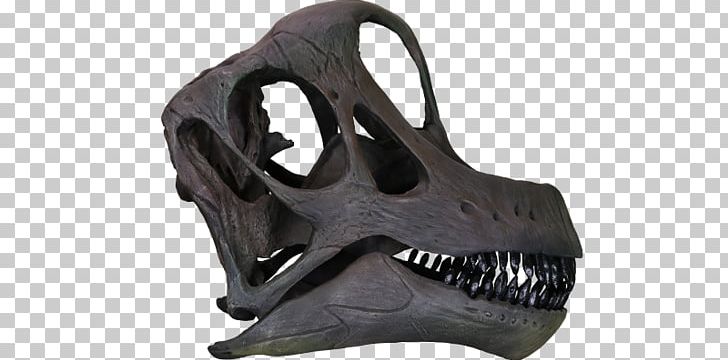 Brachiosaurus Giraffatitan Morrison Formation Europasaurus Reptile PNG, Clipart, Bone, Brachiosaurus, Dinosaur, Europasaurus, Fantasy Free PNG Download