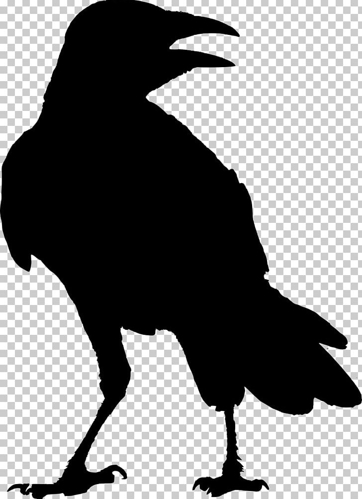 The Raven G Whitcoe Designs Crow Odin PNG, Clipart, American Crow, Animals, Art, Artwork, Beak Free PNG Download