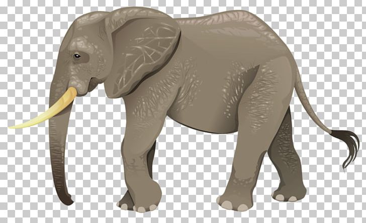 Turtle Animal Wildlife Elephant PNG, Clipart, Animal, Animals, Baby Elephant, Cartoon, Creative Free PNG Download