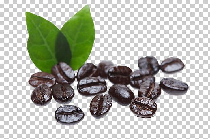 Arabic Coffee Cafe Coffee Bean PNG, Clipart, Arabic Coffee, Bean, Beans, Burr Mill, Cafe Free PNG Download