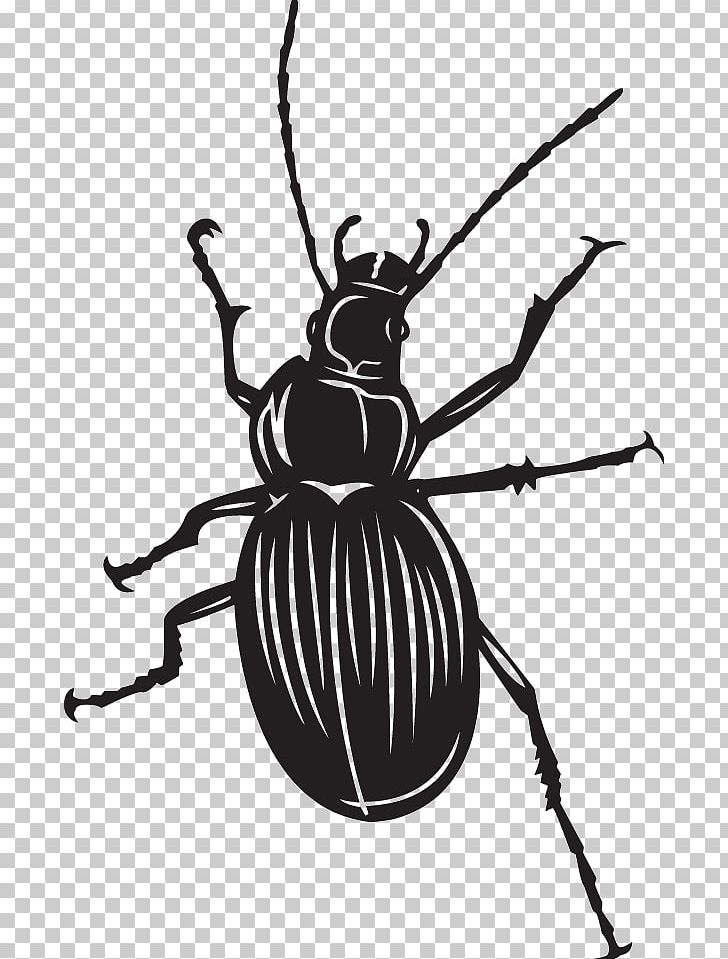 Beetle Fly Scarabs Illustration PNG, Clipart, Animals, Arthropod, Artwork, Beetle, Black And White Free PNG Download