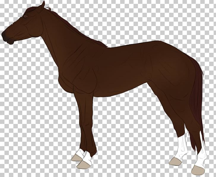Mustang Foal Stallion Rein English Riding PNG, Clipart, Animal Figure, Bridle, Colt, English Riding, Equestrian Free PNG Download